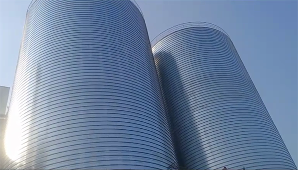 东营2座混凝土高架卷板仓